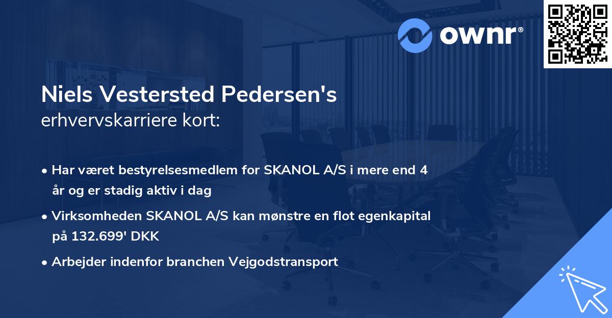 Niels Vestersted Pedersen's erhvervskarriere kort