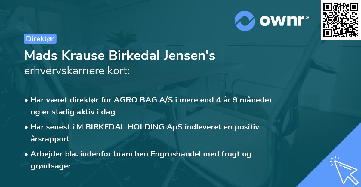 Mads Krause Birkedal Jensen's erhvervskarriere kort