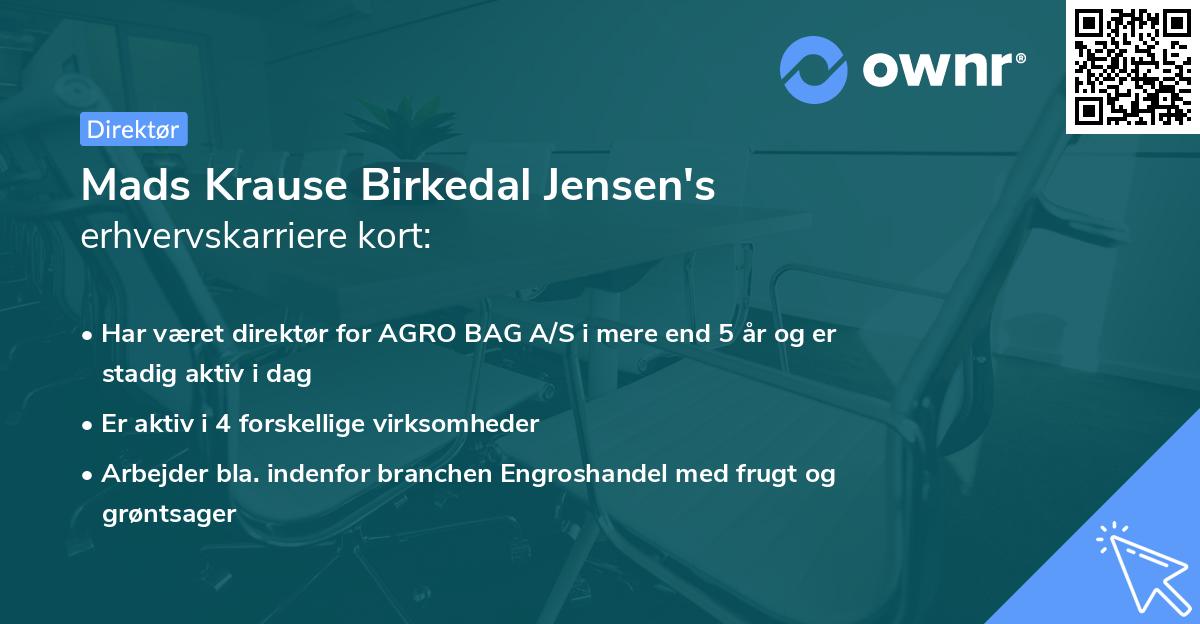 Mads Krause Birkedal Jensen's erhvervskarriere kort