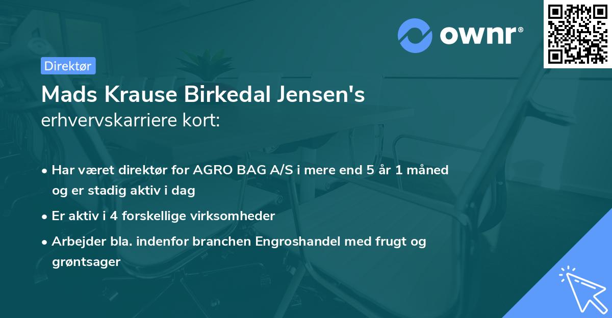 Mads Krause Birkedal Jensen's erhvervskarriere kort