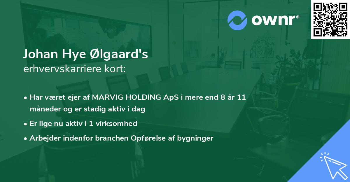 Johan Hye Ølgaard's erhvervskarriere kort