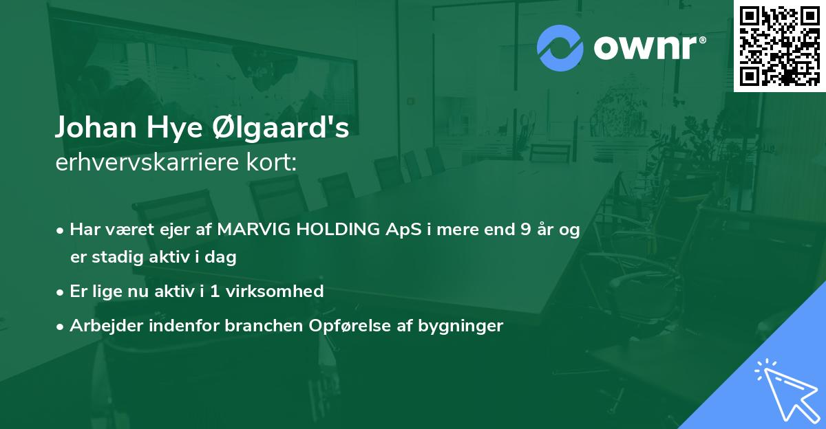 Johan Hye Ølgaard's erhvervskarriere kort