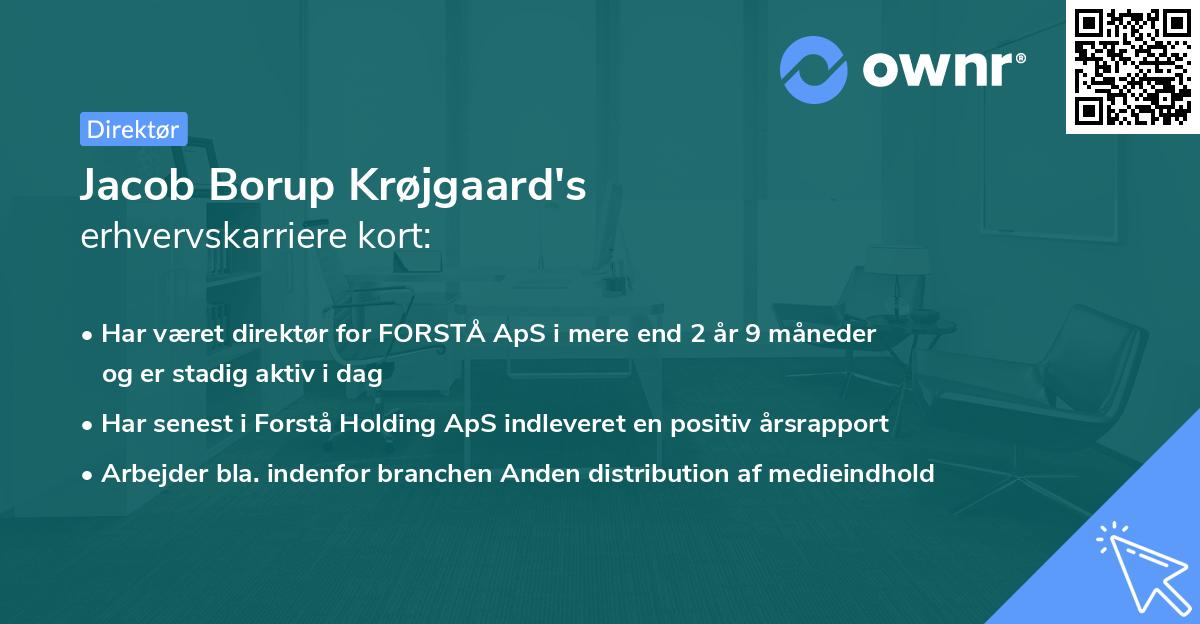 Jacob Borup Krøjgaard's erhvervskarriere kort
