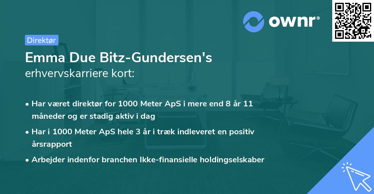Emma Due Bitz-Gundersen's erhvervskarriere kort