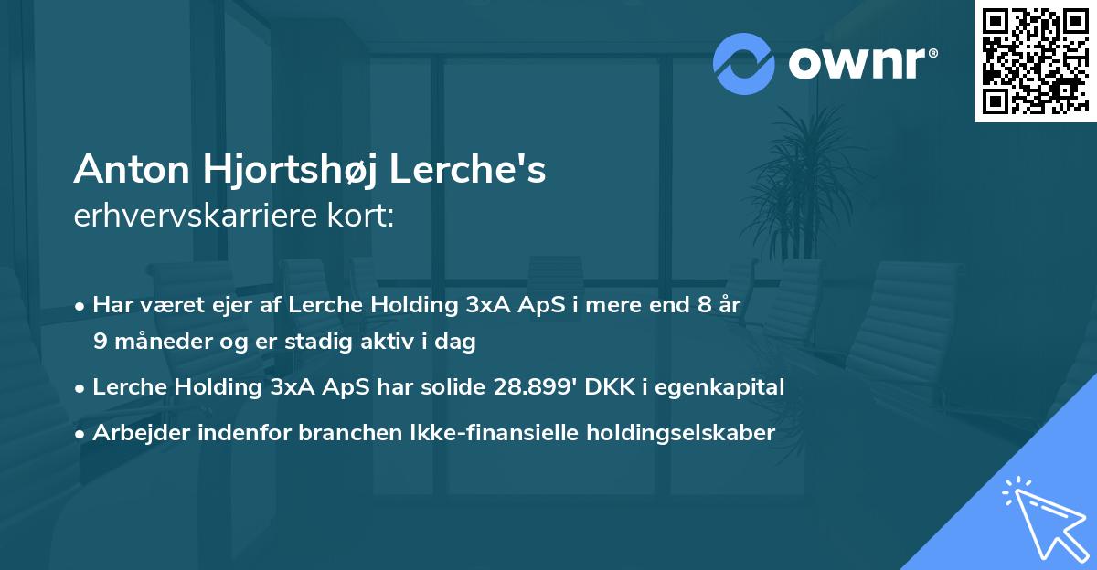 Anton Hjortshøj Lerche's erhvervskarriere kort