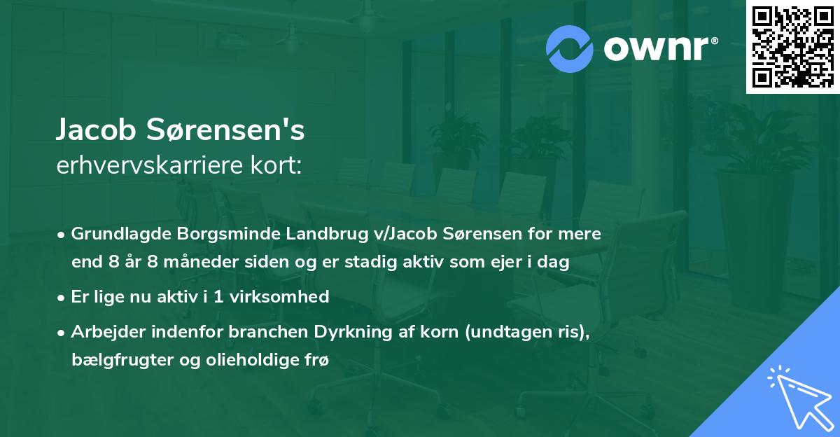 Jacob Sørensen's erhvervskarriere kort