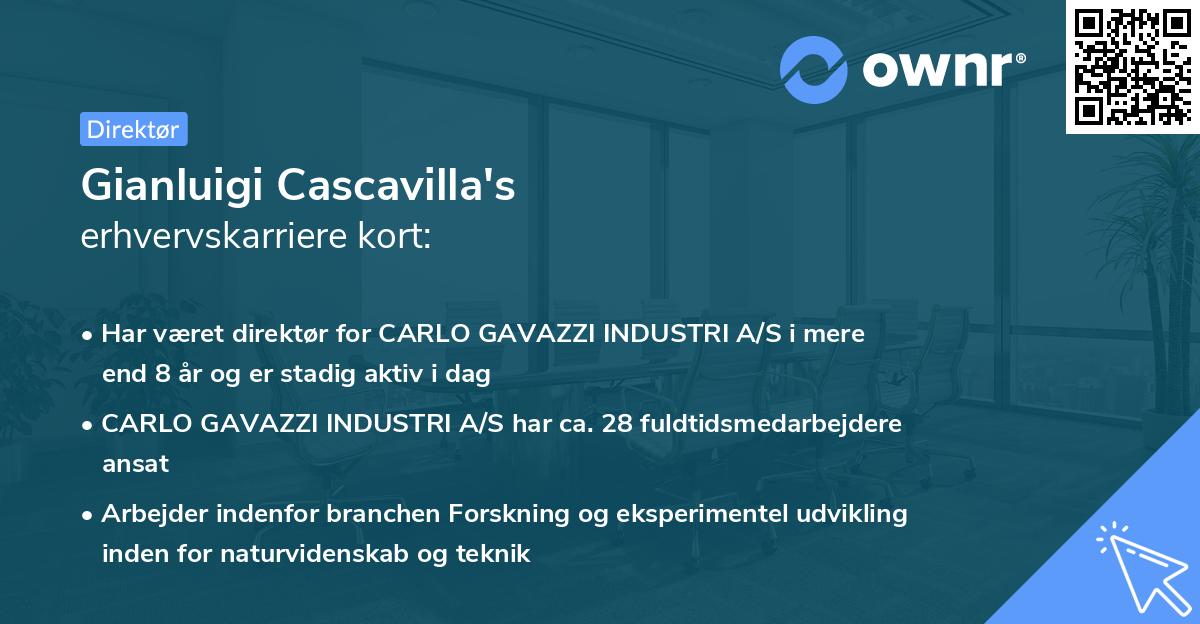 Gianluigi Cascavilla's erhvervskarriere kort