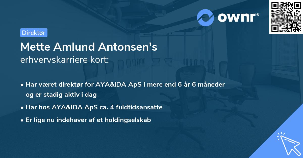 Mette Amlund Antonsen's erhvervskarriere kort