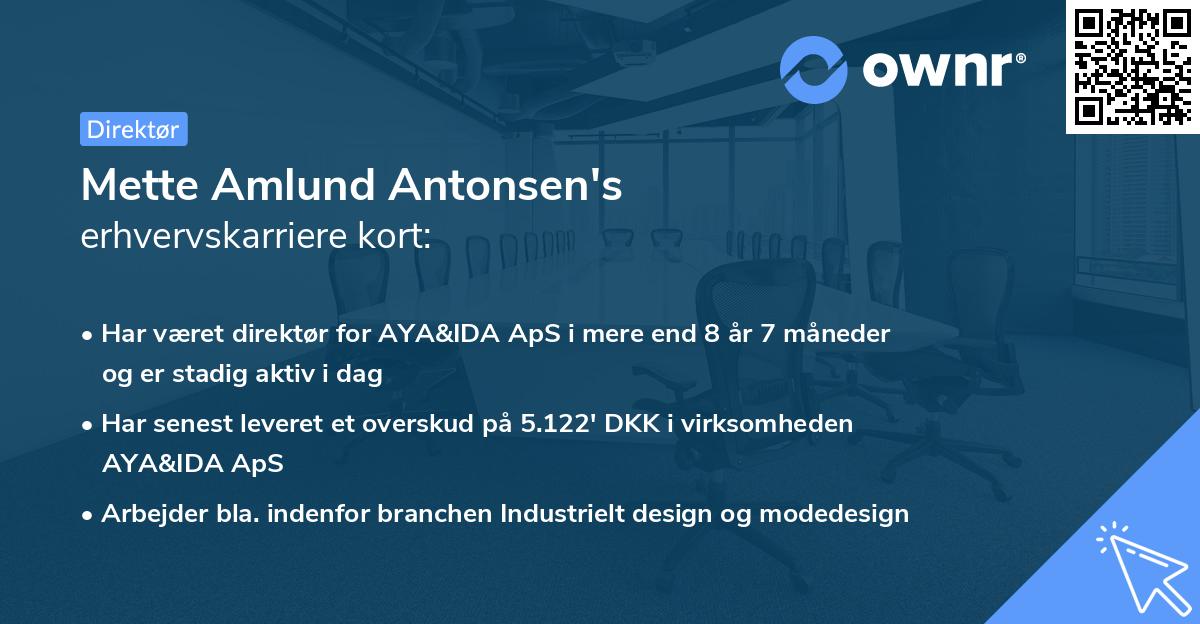 Mette Amlund Antonsen's erhvervskarriere kort