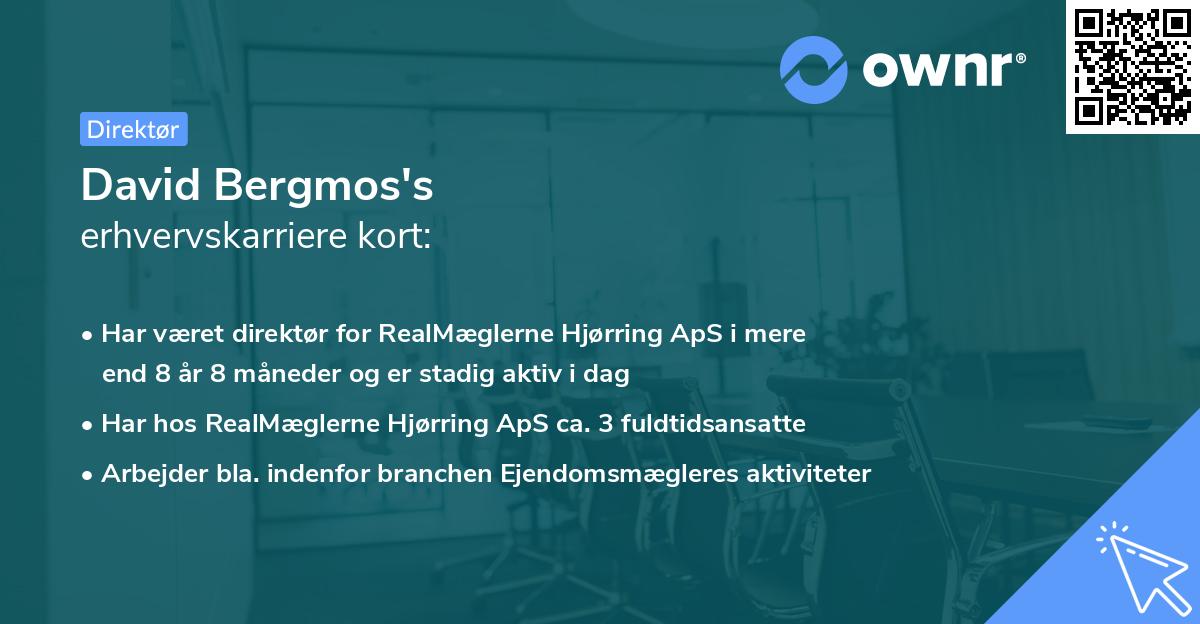 David Bergmos's erhvervskarriere kort