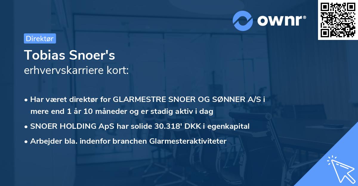Tobias Snoer's erhvervskarriere kort
