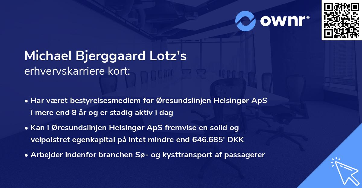 Michael Bjerggaard Lotz's erhvervskarriere kort