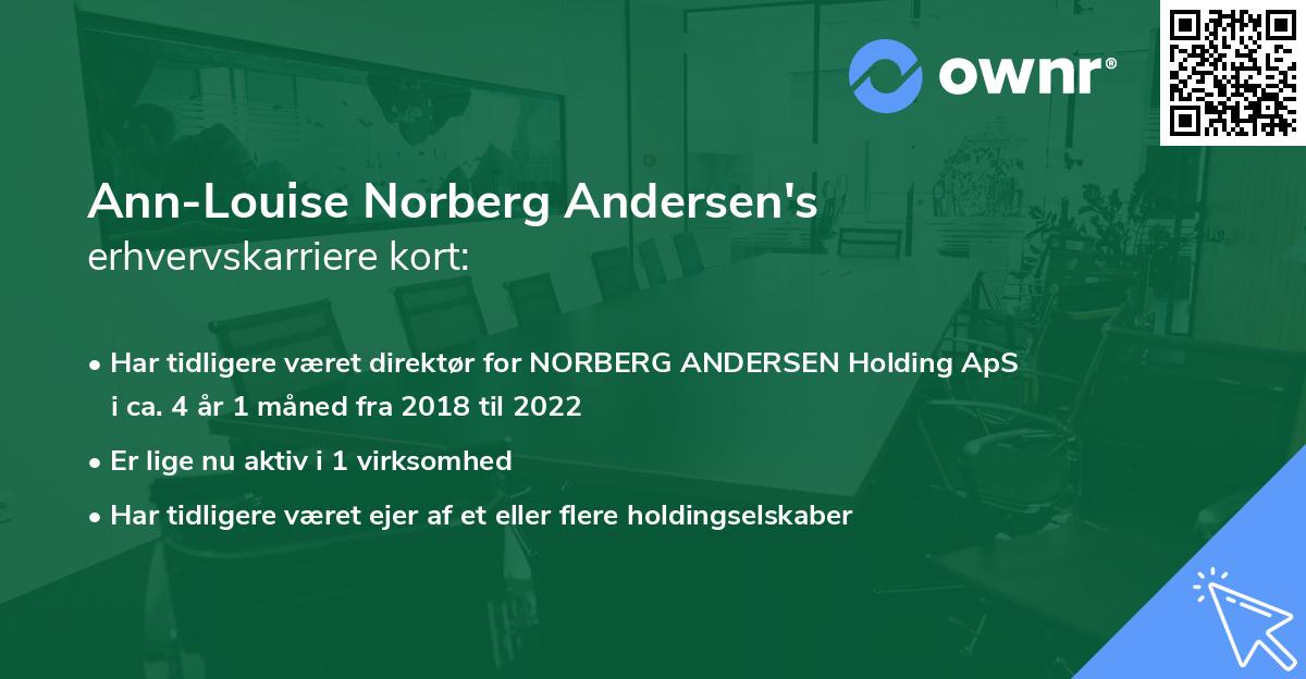 Ann-Louise Norberg Andersen's erhvervskarriere kort