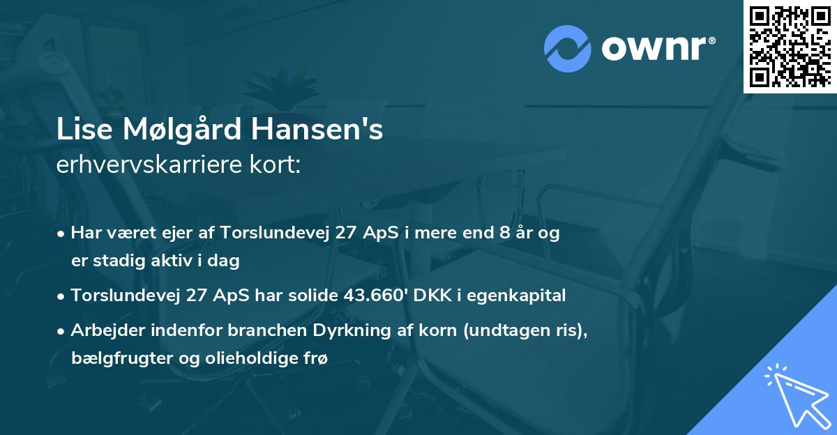 Lise Mølgård Hansen's erhvervskarriere kort