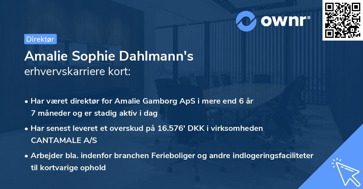 Amalie Sophie Dahlmann's erhvervskarriere kort