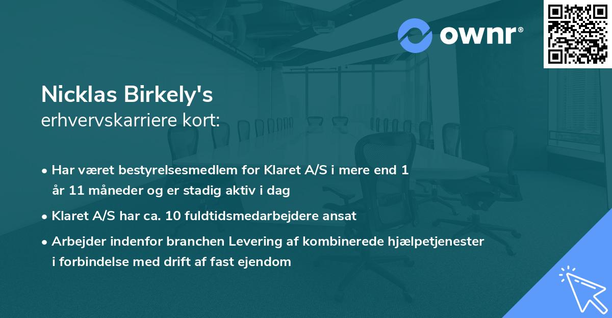 Nicklas Birkely's erhvervskarriere kort