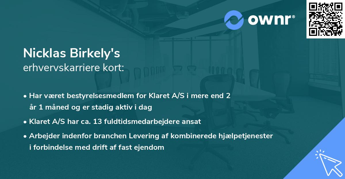 Nicklas Birkely's erhvervskarriere kort