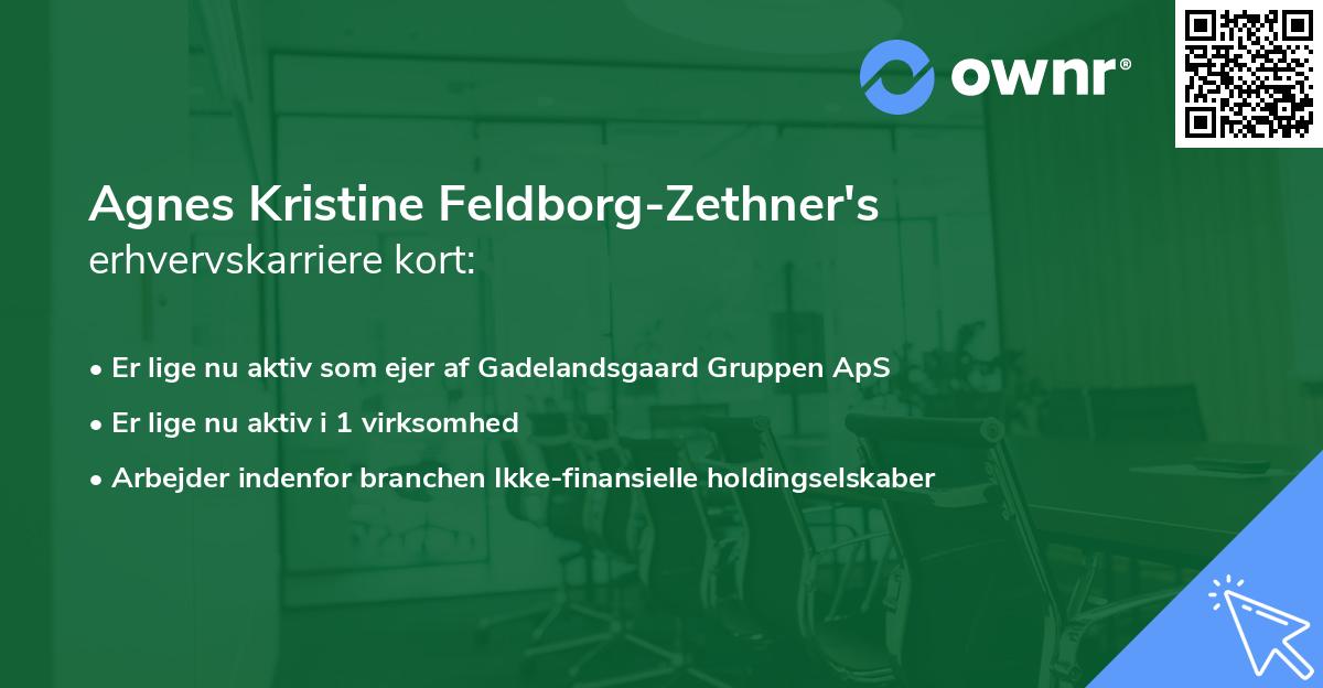 Agnes Kristine Feldborg-Zethner's erhvervskarriere kort
