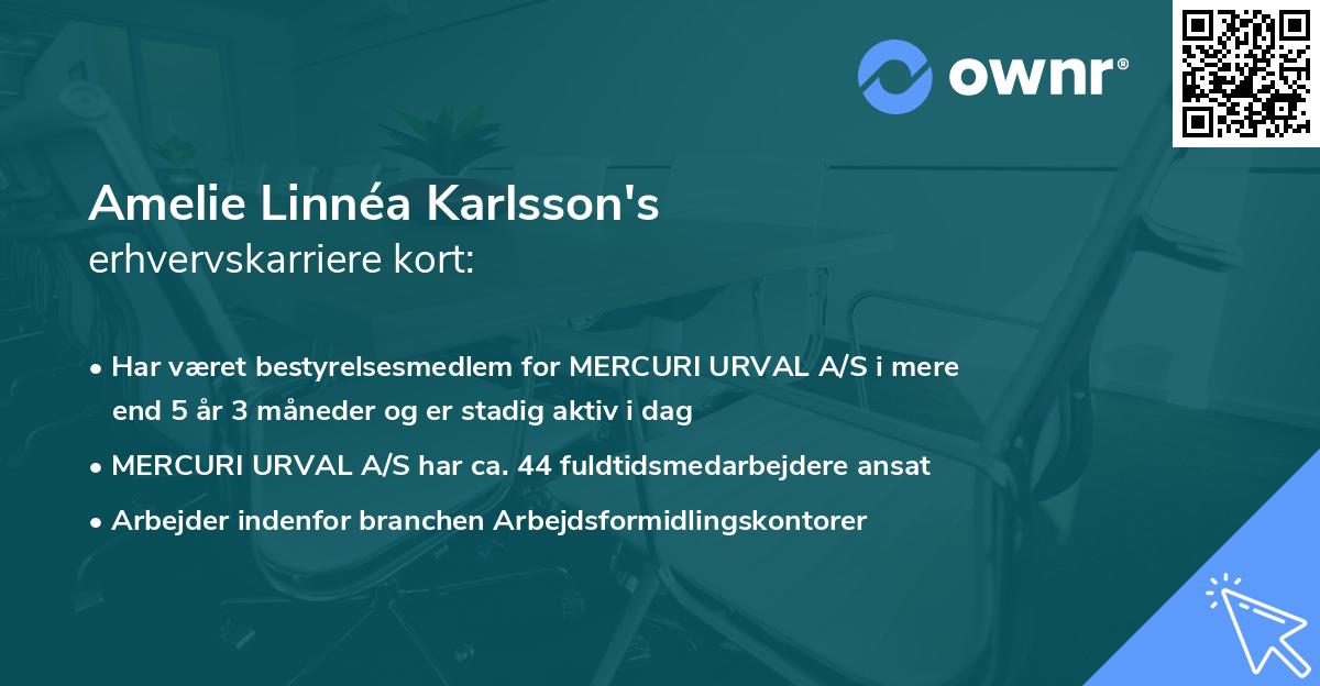 Amelie Linnéa Karlsson's erhvervskarriere kort