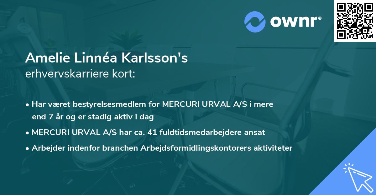 Amelie Linnéa Karlsson's erhvervskarriere kort