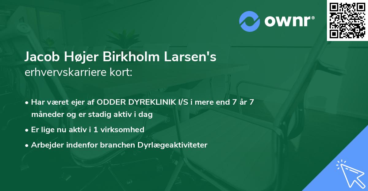 Jacob Højer Birkholm Larsen's erhvervskarriere kort