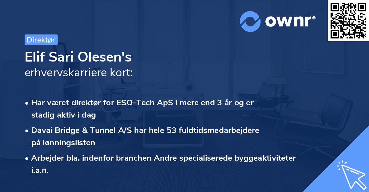 Elif Sari Olesen's erhvervskarriere kort