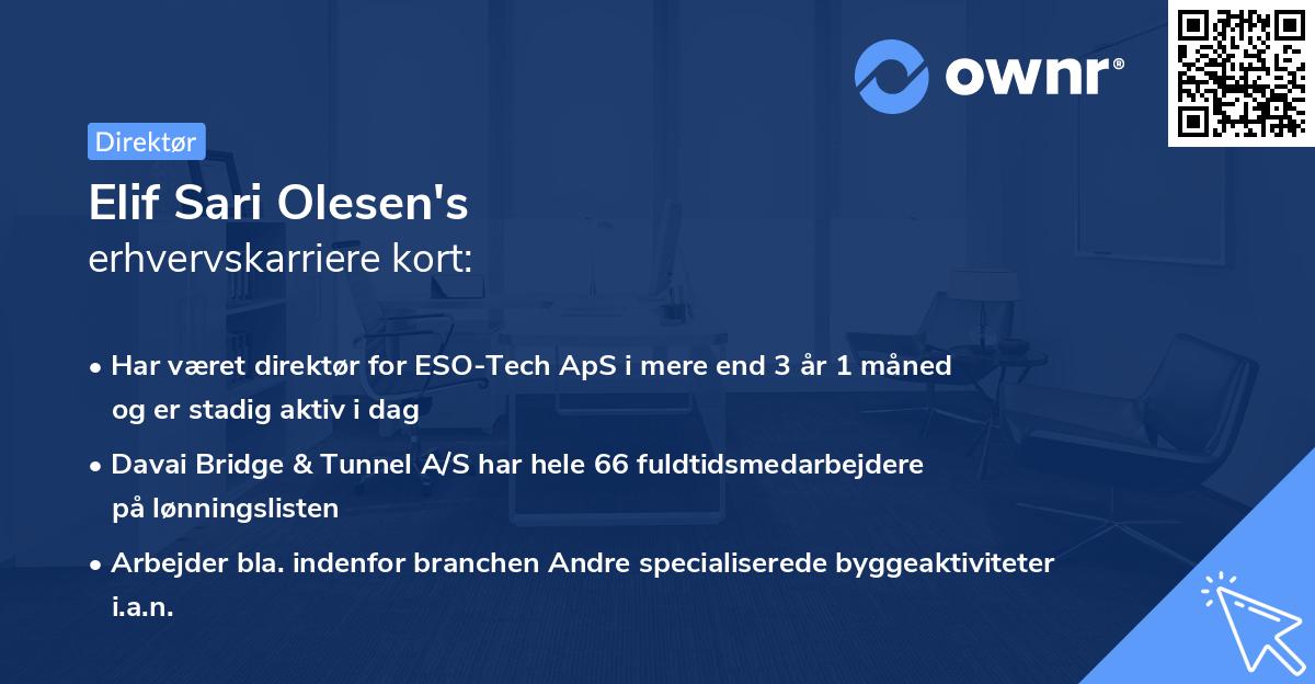 Elif Sari Olesen's erhvervskarriere kort