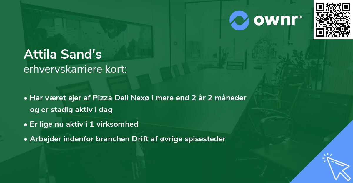 Attila Sand's erhvervskarriere kort