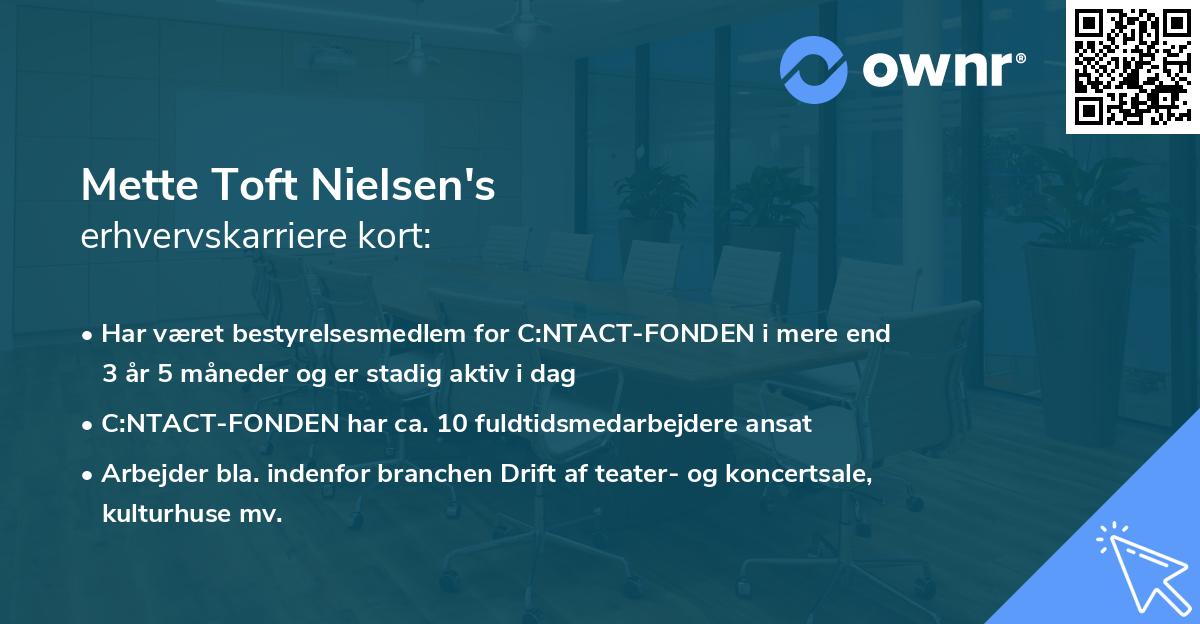 Mette Toft Nielsen's erhvervskarriere kort