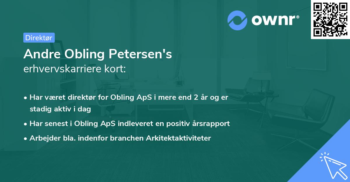 Andre Obling Petersen's erhvervskarriere kort