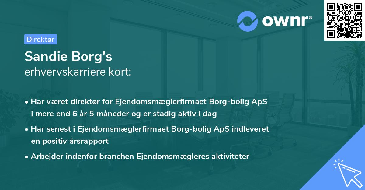 Sandie Borg's erhvervskarriere kort