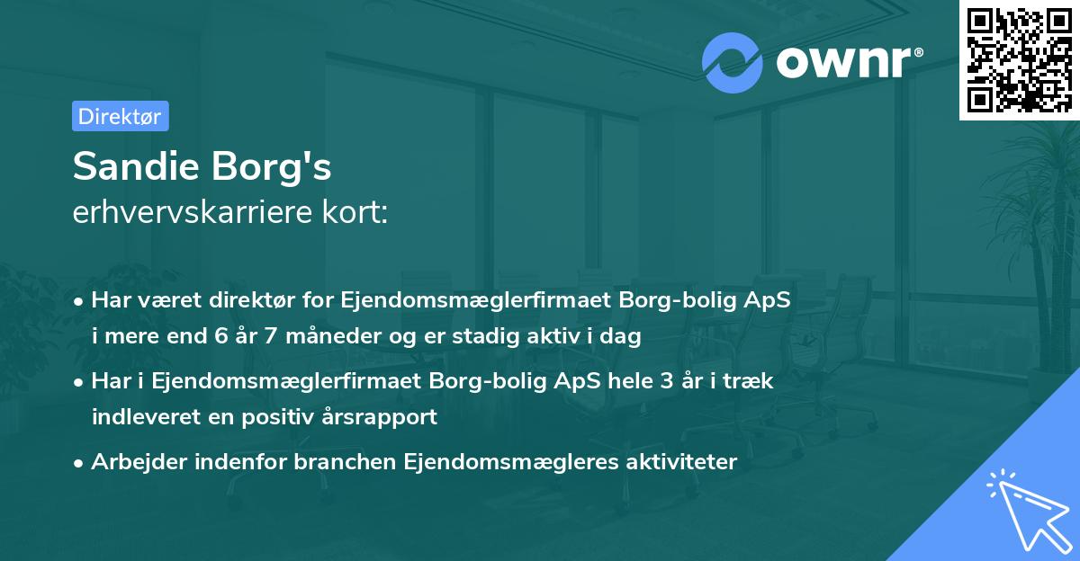 Sandie Borg's erhvervskarriere kort