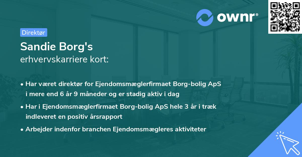 Sandie Borg's erhvervskarriere kort
