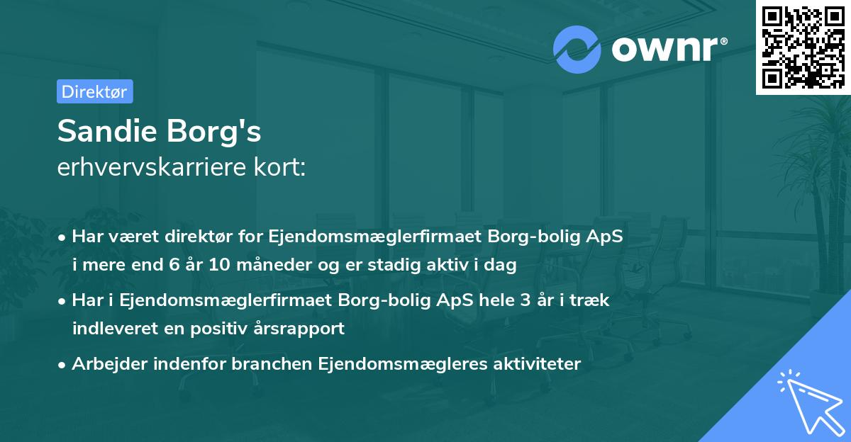 Sandie Borg's erhvervskarriere kort