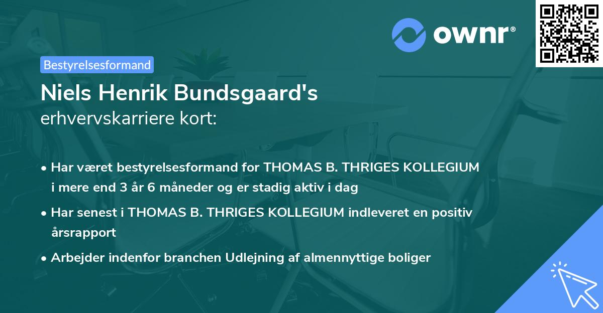 Niels Henrik Bundsgaard's erhvervskarriere kort
