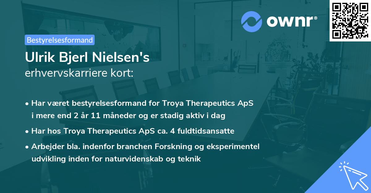 Ulrik Bjerl Nielsen's erhvervskarriere kort