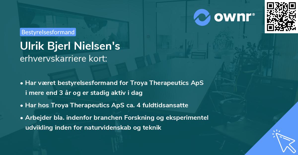 Ulrik Bjerl Nielsen's erhvervskarriere kort