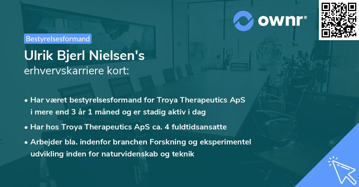 Ulrik Bjerl Nielsen's erhvervskarriere kort