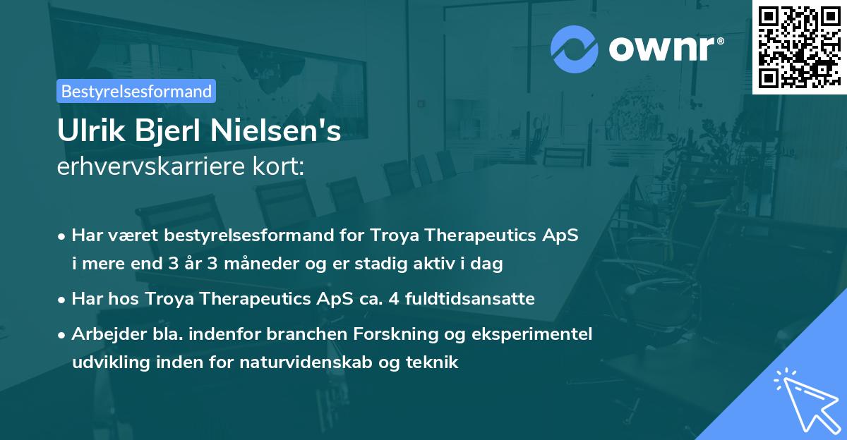 Ulrik Bjerl Nielsen's erhvervskarriere kort