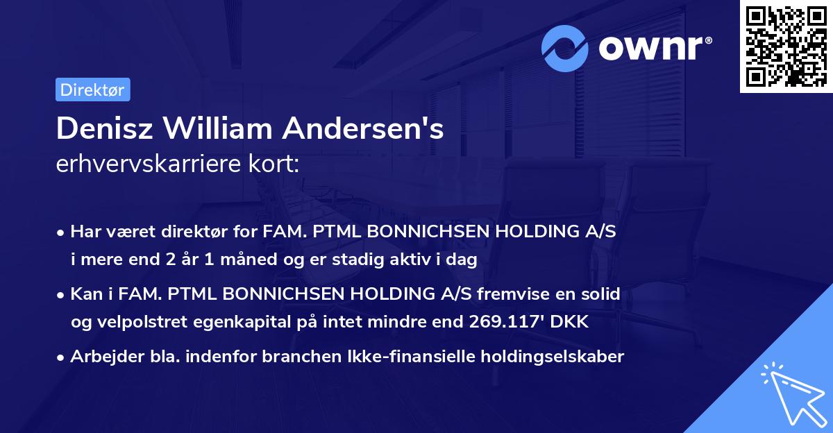 Denisz William Andersen's erhvervskarriere kort