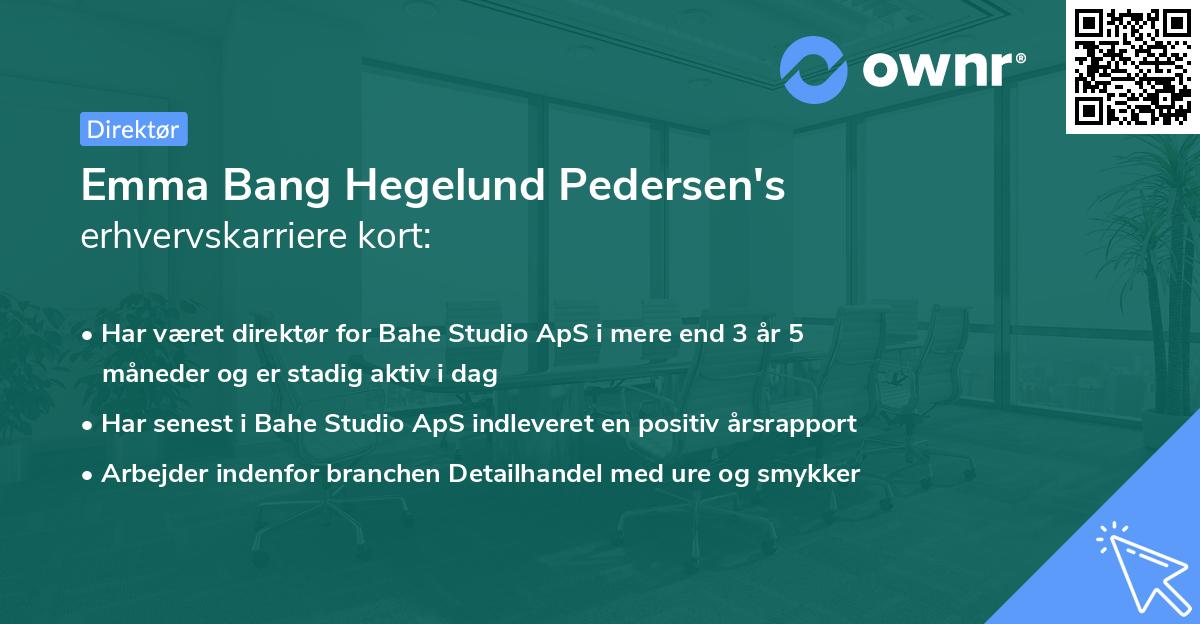 Emma Bang Hegelund Pedersen's erhvervskarriere kort