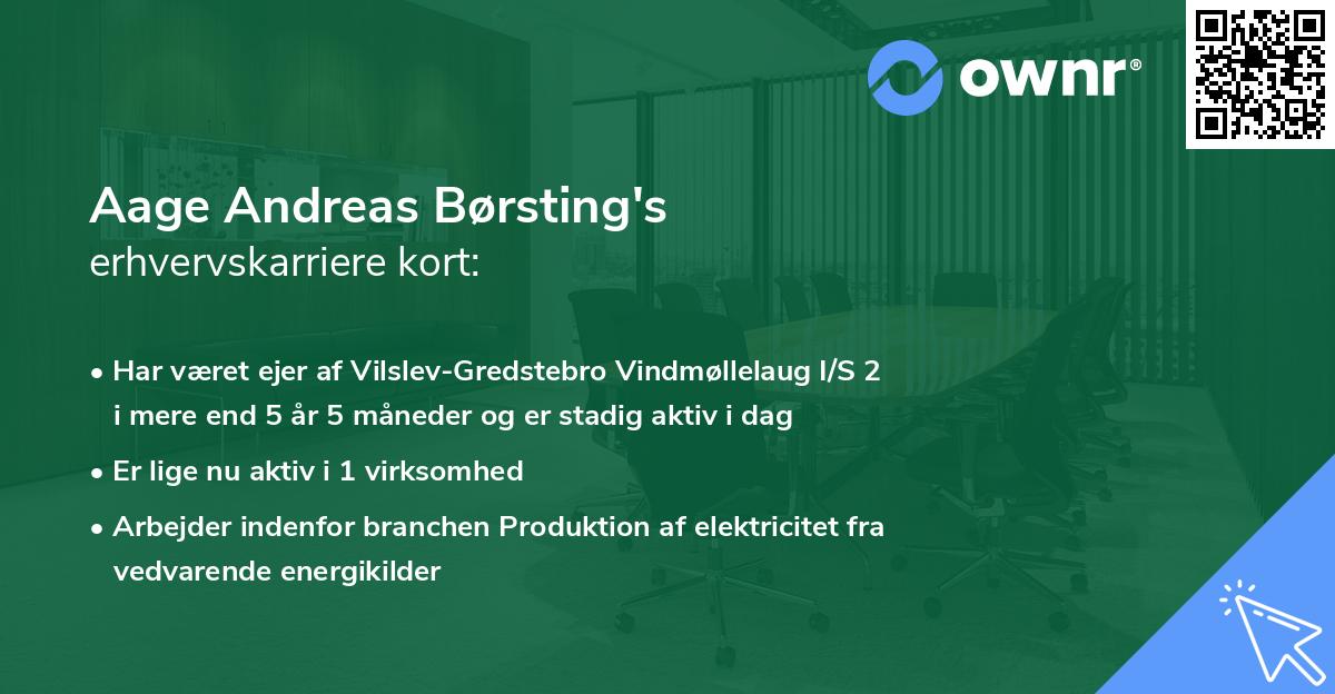 Aage Andreas Børsting's erhvervskarriere kort