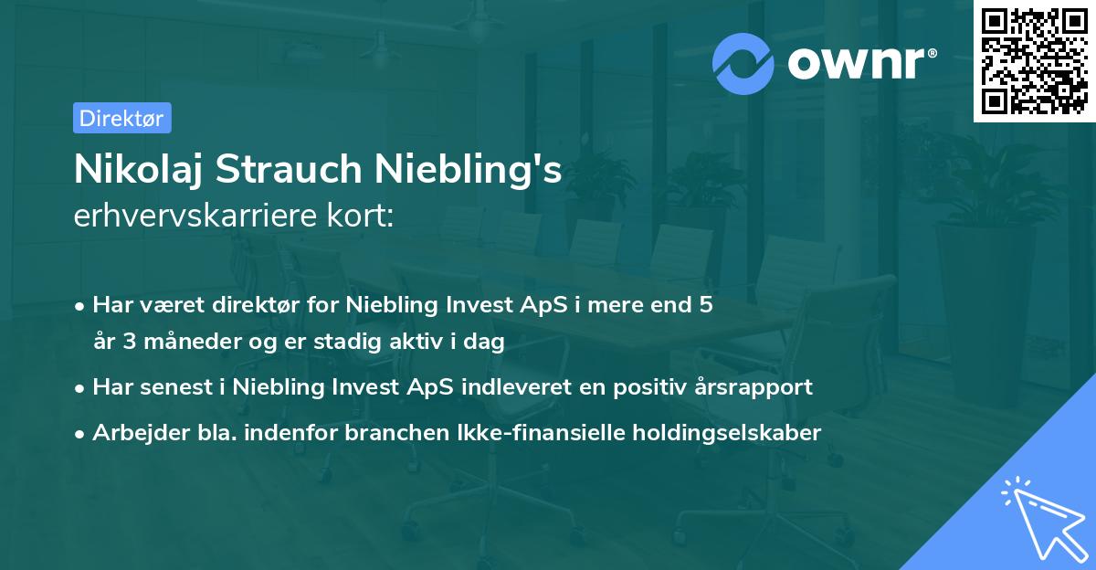 Nikolaj Strauch Niebling's erhvervskarriere kort