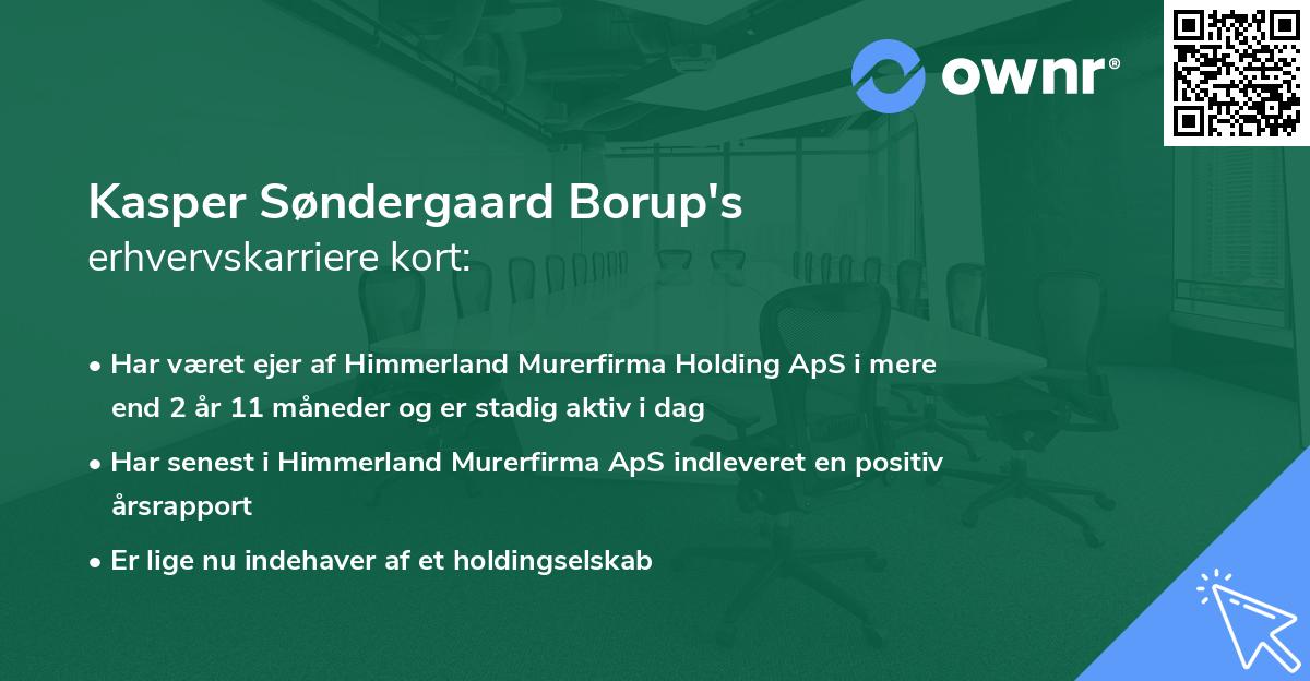 Kasper Søndergaard Borup's erhvervskarriere kort