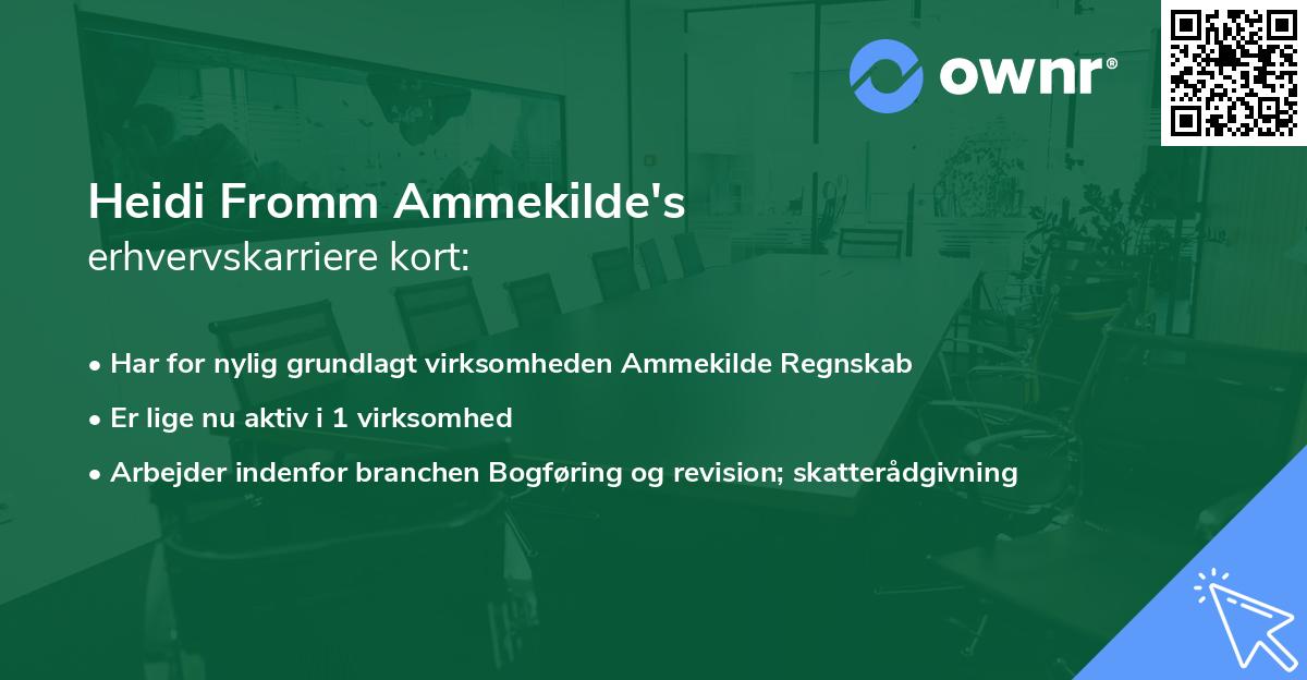 Heidi Fromm Ammekilde's erhvervskarriere kort