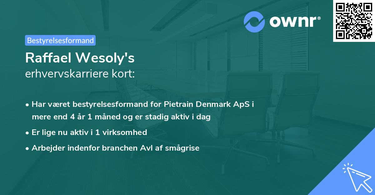 Raffael Wesoly's erhvervskarriere kort