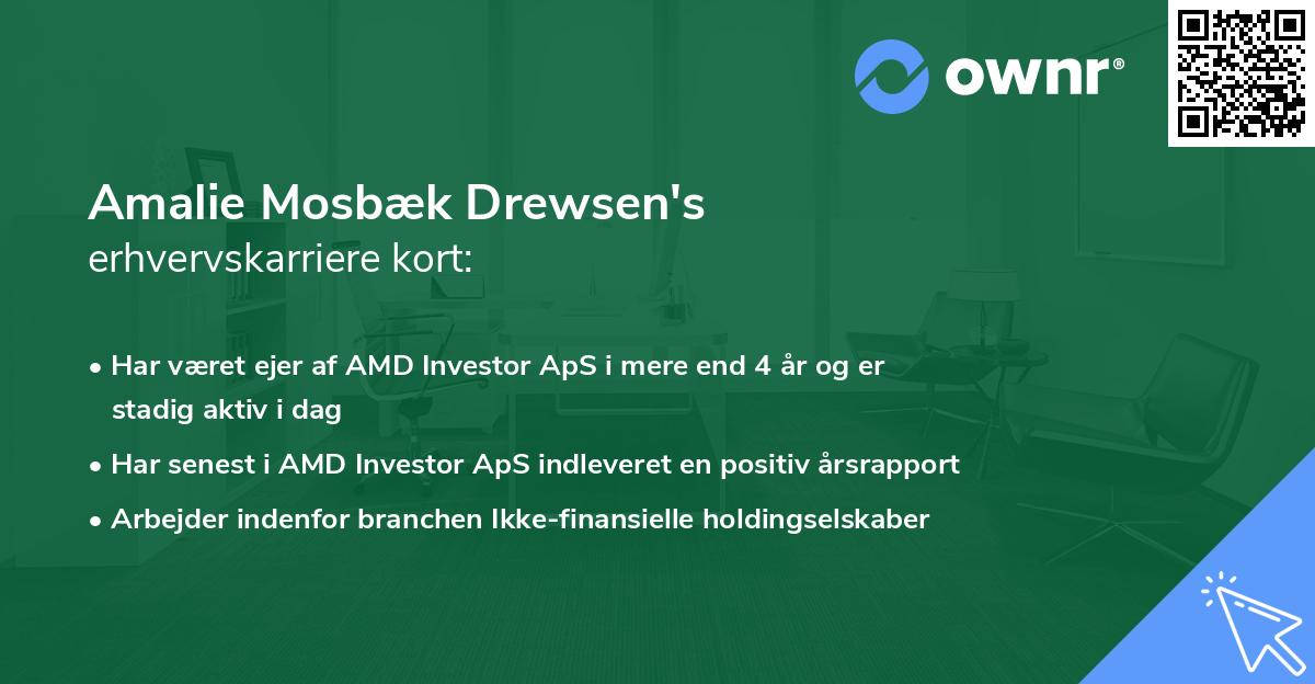 Amalie Mosbæk Drewsen's erhvervskarriere kort