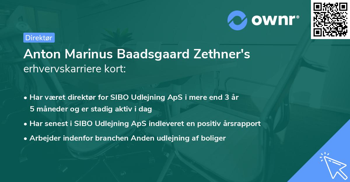 Anton Marinus Baadsgaard Zethner's erhvervskarriere kort