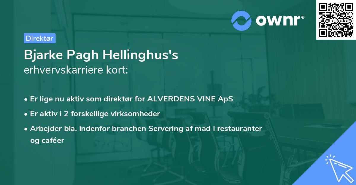 Bjarke Pagh Hellinghus's erhvervskarriere kort