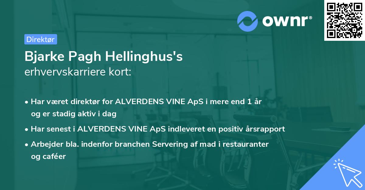 Bjarke Pagh Hellinghus's erhvervskarriere kort